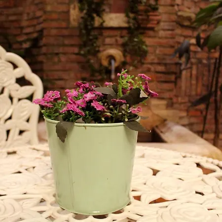 Domus Dea Bed & Breakfast 3*